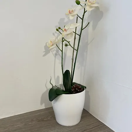 Apartament Parque La Guina