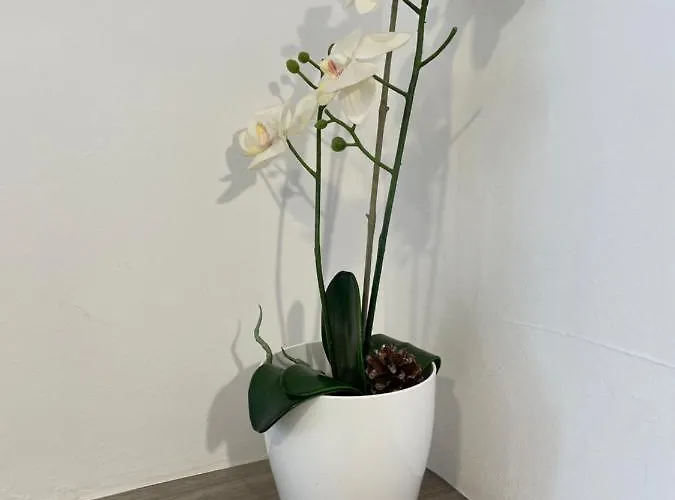 Appartement Parque La Guina